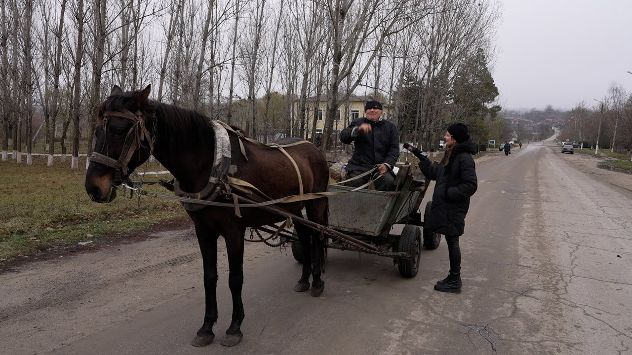 „Toate-s vechi și nouă toate” - Gura Galbenei din 1986 versus Gura Galbenei din 2022