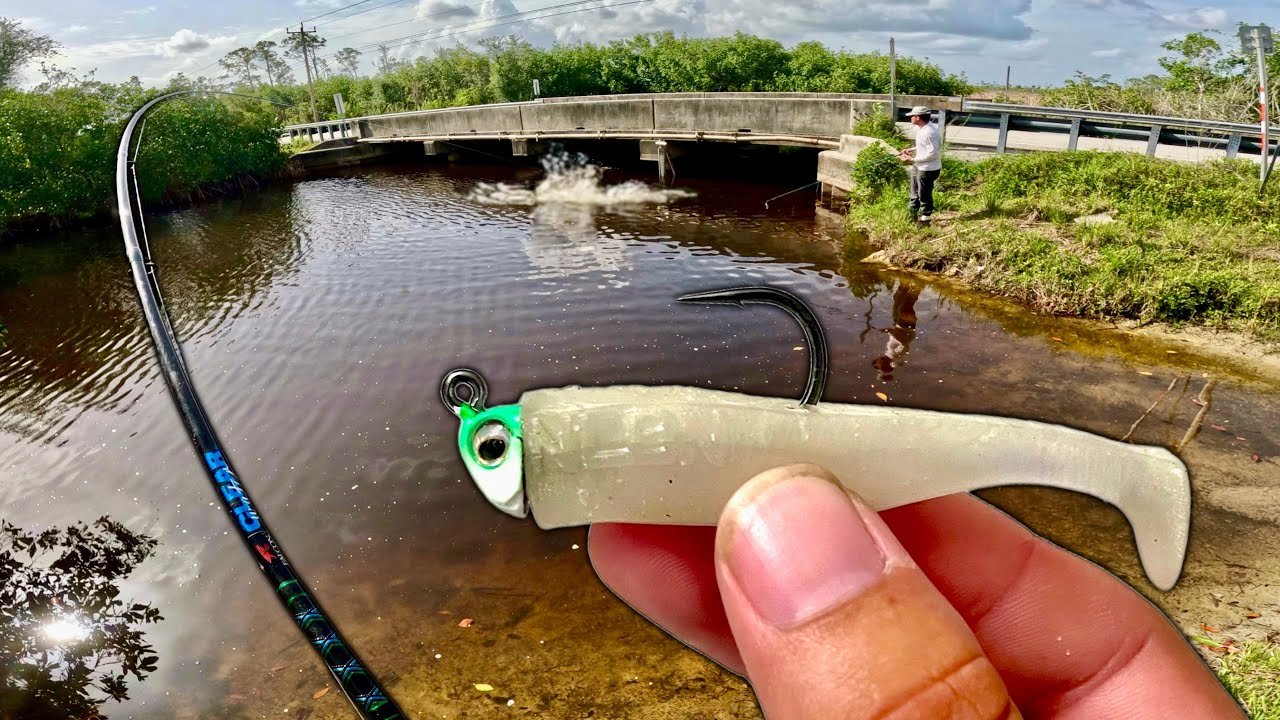 SNOOK BLOWING UP NONSTOP UNDER ROADSIDE BRIDGE!