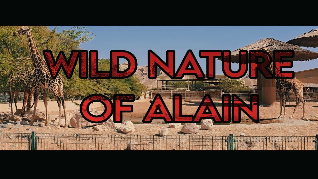 A Visit to Alain Zoo | Amazing Experience 