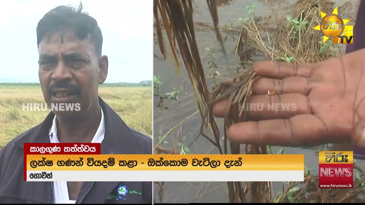 බෙංගාල බොක්කේ අඩු පීඩන කලාපය දිවයිනෙන් ඉවතට  - Hiru News