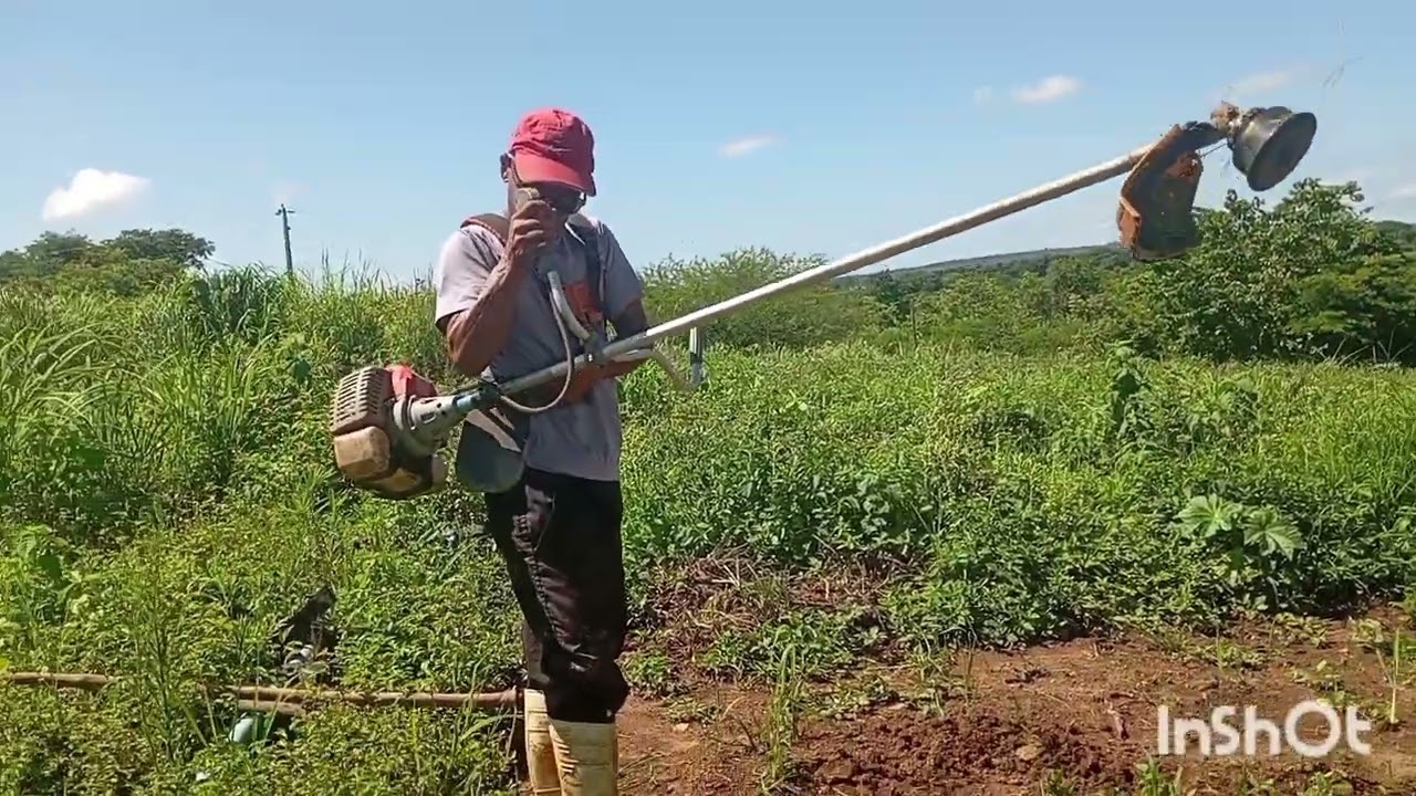 roçando