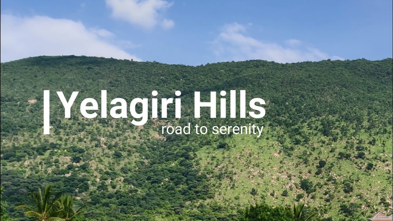 Bangalore to Yelagiri Hills - One Day Bike Ride