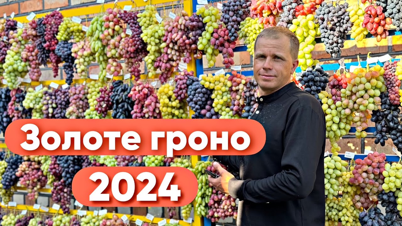Золоте гроно України 2024р.