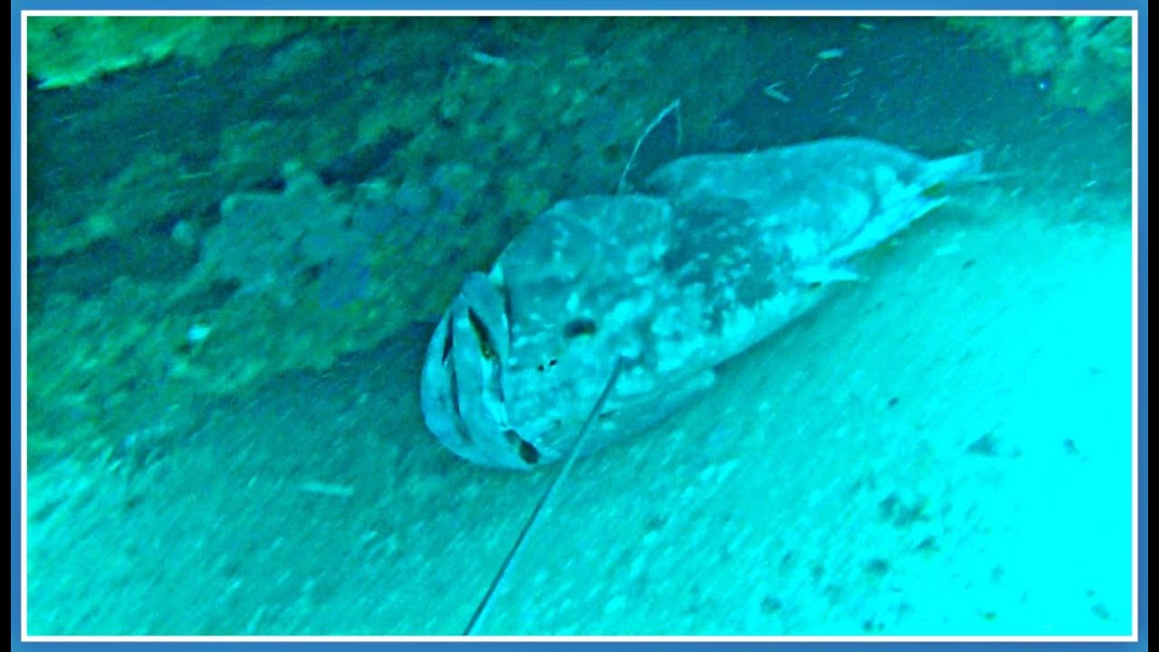 PESCA SUBMARINA PROFUNDA (MERO ENCUEVADO)