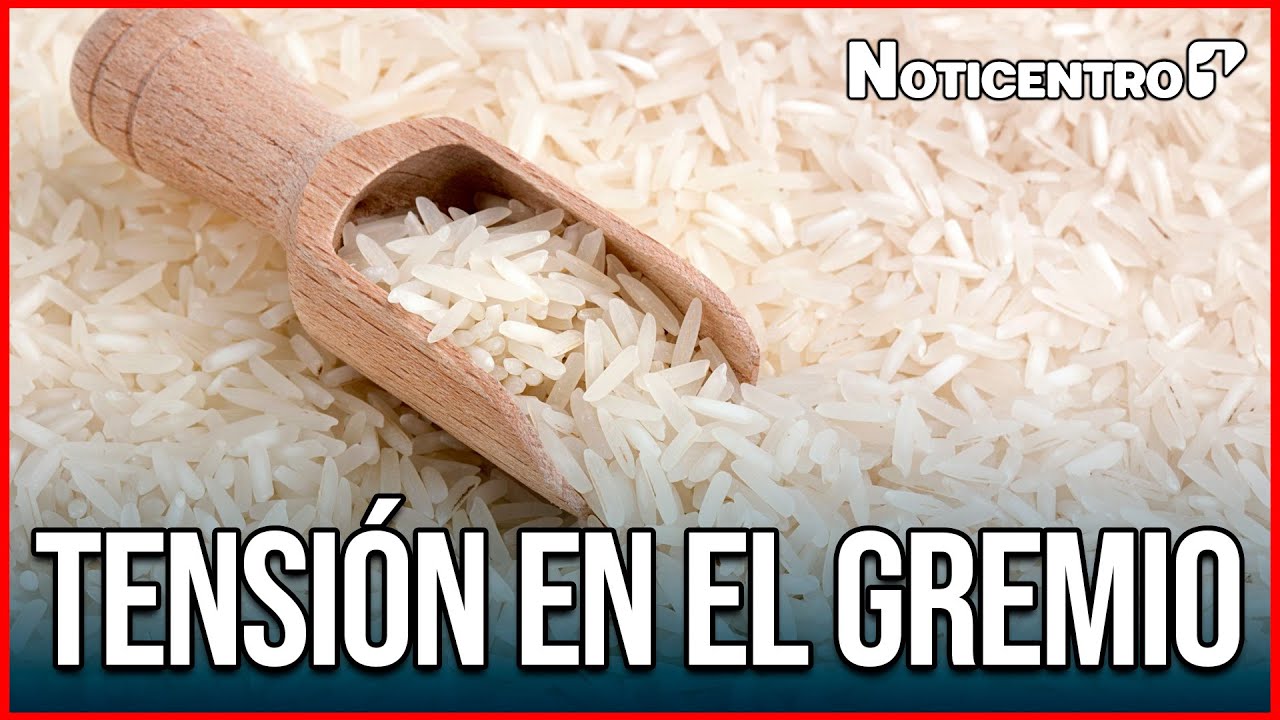 Plan arrocero de última hora busca evitar paro y hay puntos que generan debate | Canal 1| Noticentro