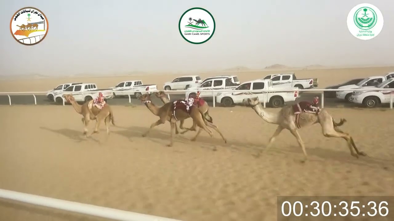 ١٤/ قعدان مفاريد/ ١٢٠٠م/ ملفت / مسفر علي ال رزق