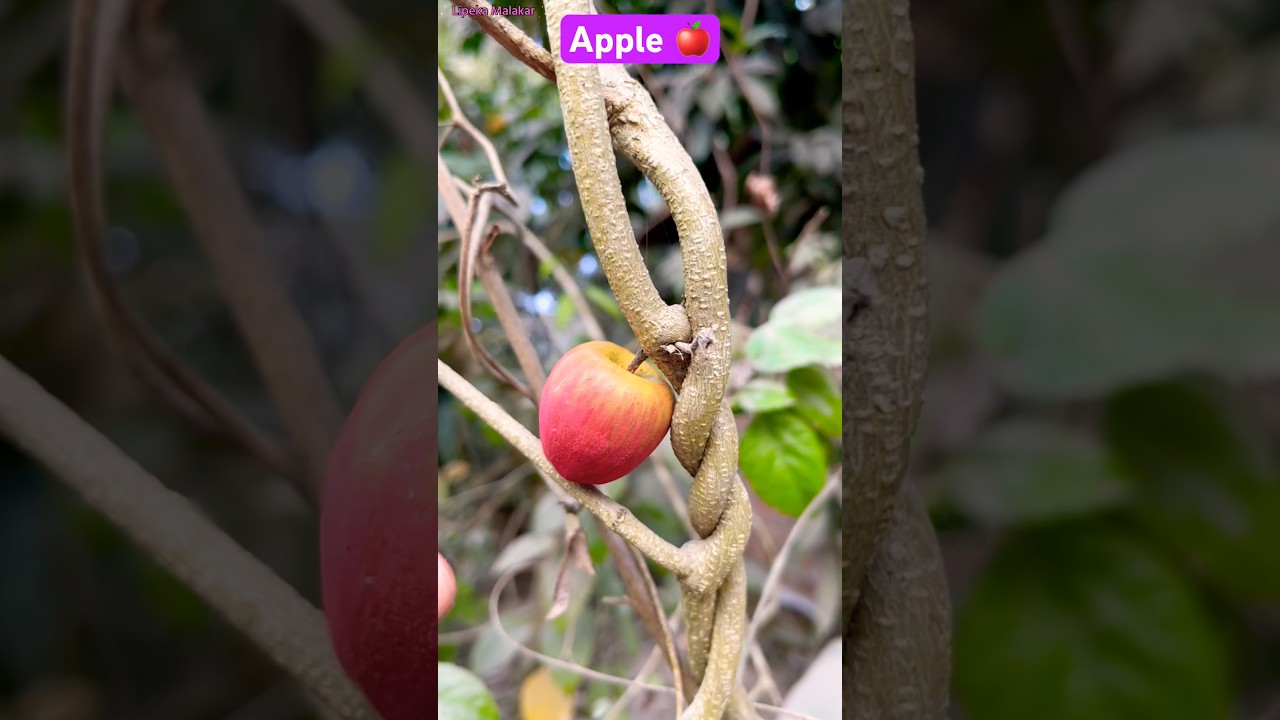how make an apple with clay // clay fruits making 