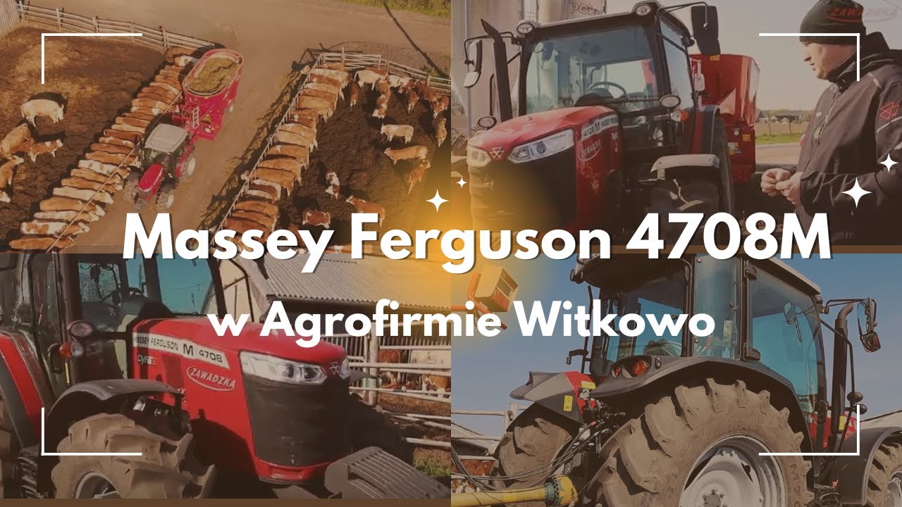 Mały ciągnik rolniczy - Massey Ferguson 4700M w gospodarstwie rolnym Witkowo