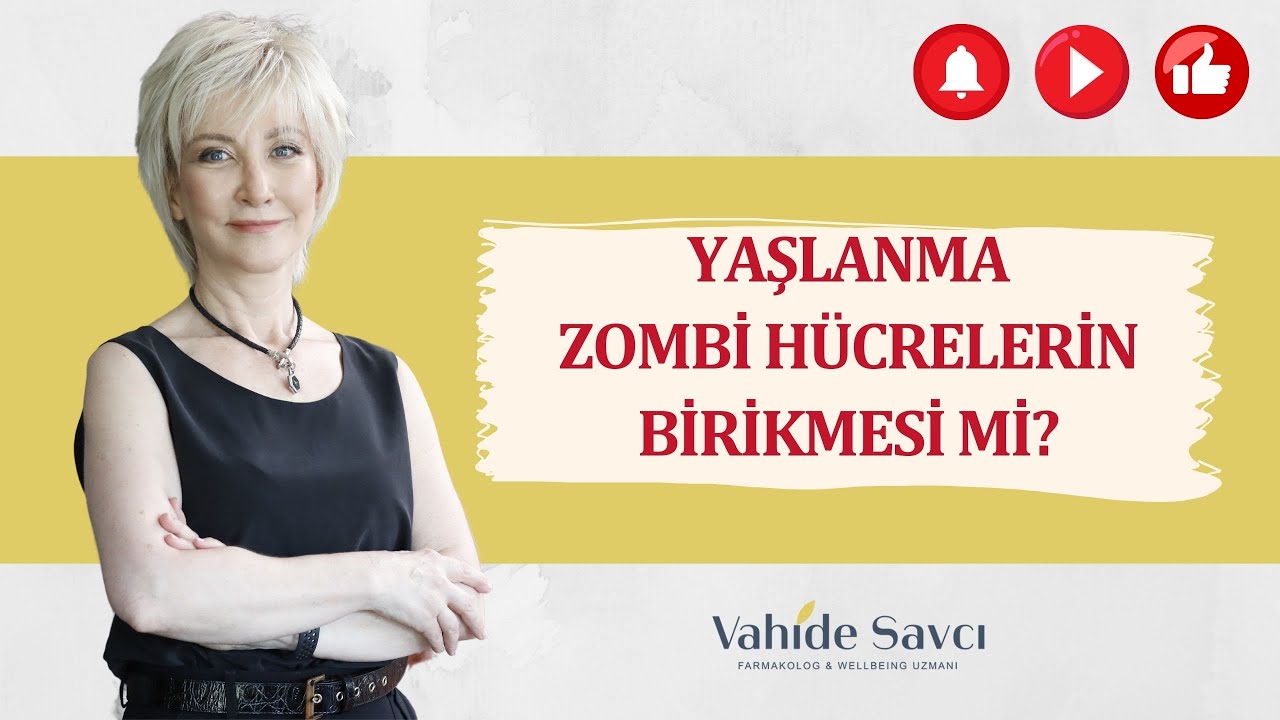 Yaşlanma Zombi H&uuml;crelerin Birikmesi mi?