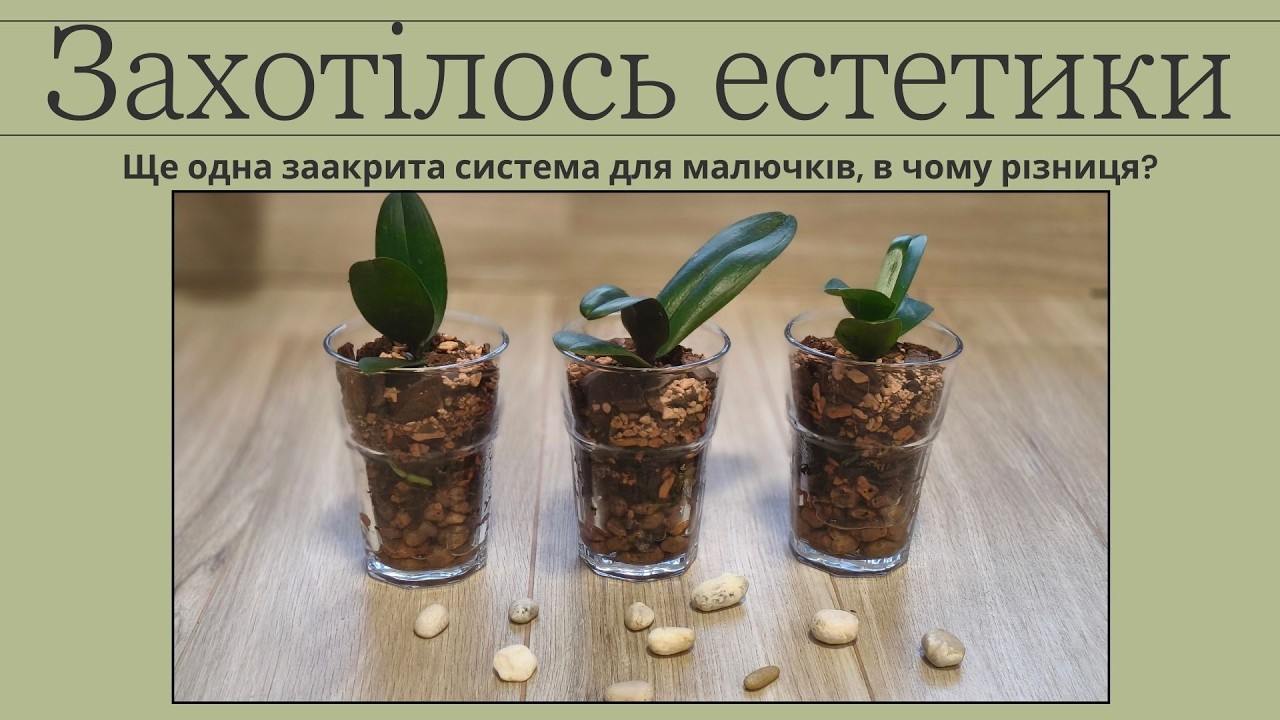 Ще одна ЗАКРИТА СИСТЕМА для малючків. В чому різниця?