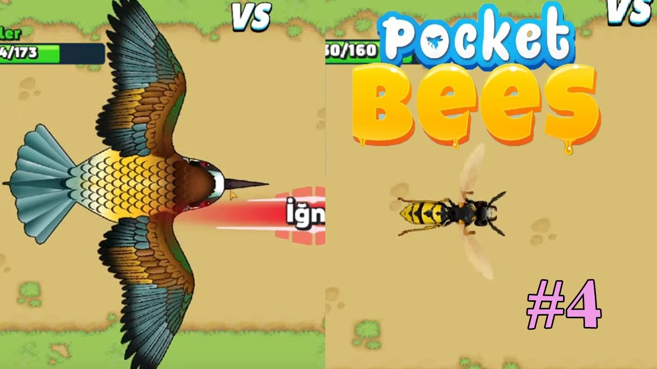 ARI KUŞU VE ARI KURDU - POCKET BEES # 5