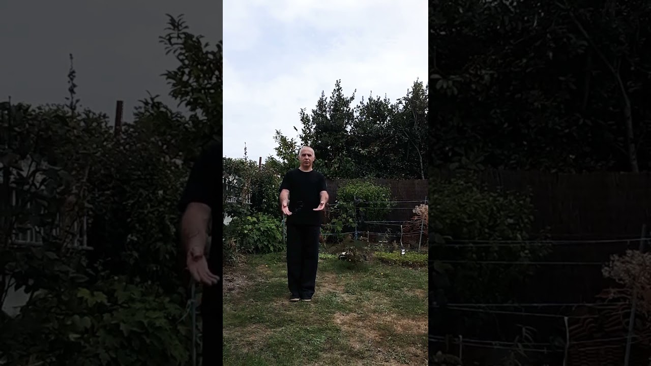 EVEIL DU QI LIN. version complète
