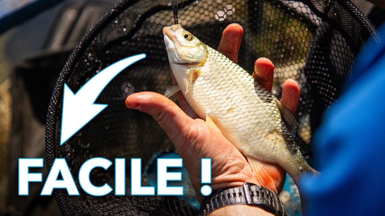 PÊCHE À L'AGRAINAGE - On fait tout au pinkie