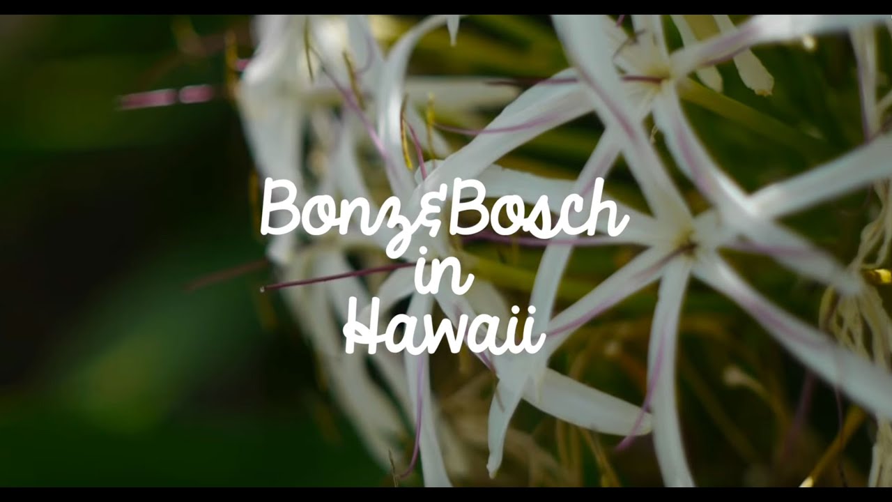 Kendama Co Presents: Bonz & Bosch in Hawaii