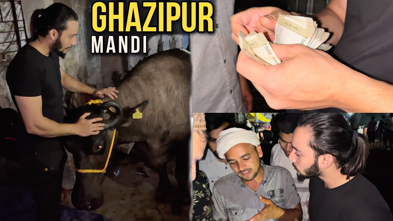 Ghazipur Mandi | Live Sauda | Full Vlog | Shezz Farman Vlogs