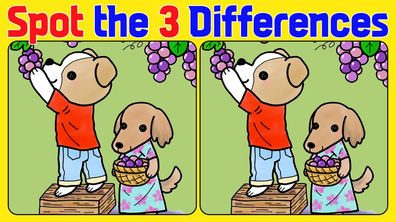 🧠🧩Spot the Difference | Brain Workout 《A Little Difficult》