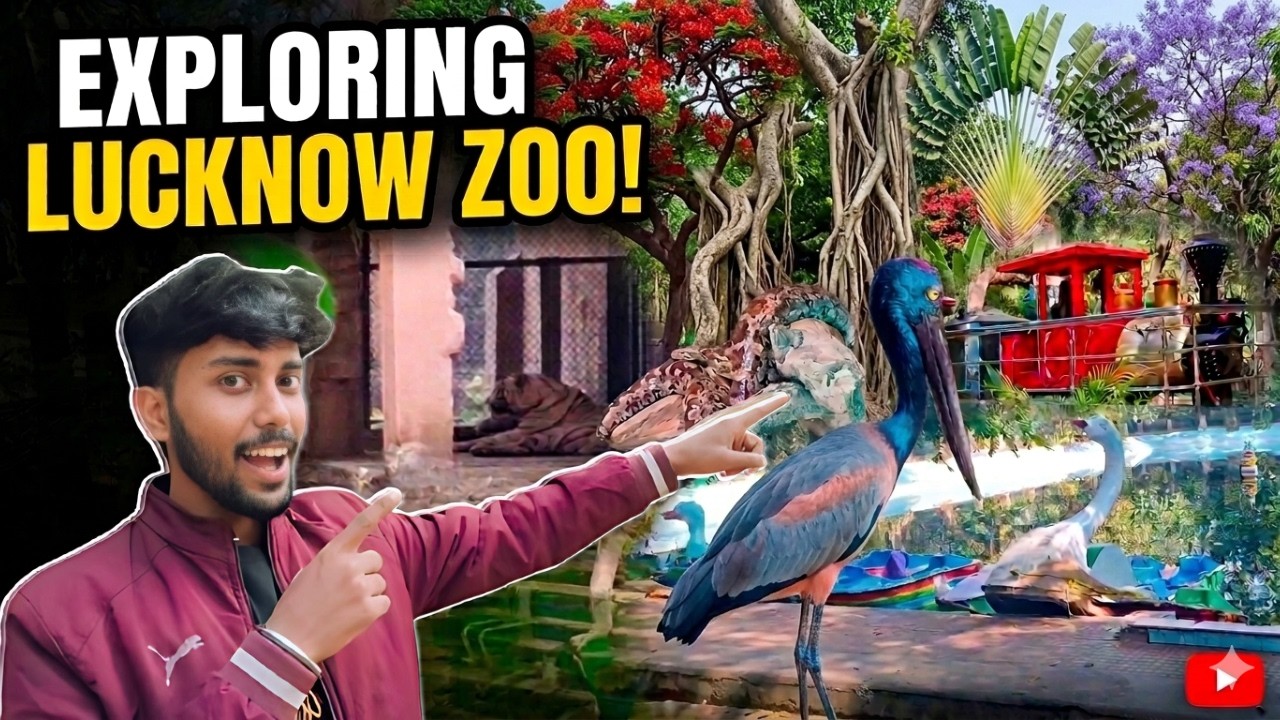 Spending Hours in a ZOO
