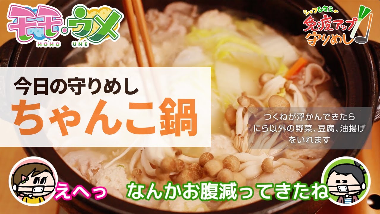 シェフひさえが本気で作る、守りめし「ちゃんこ鍋」※モモウメです