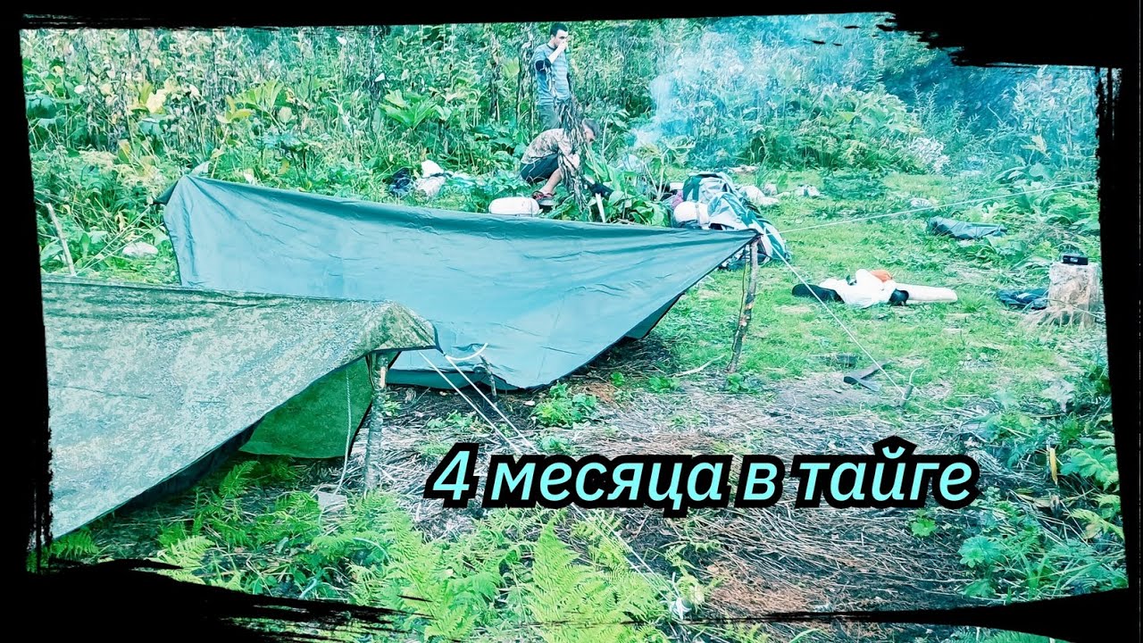 4 Месяца в Тайге. Все серии подряд. Сезон 2024 г. Серии 4-6.