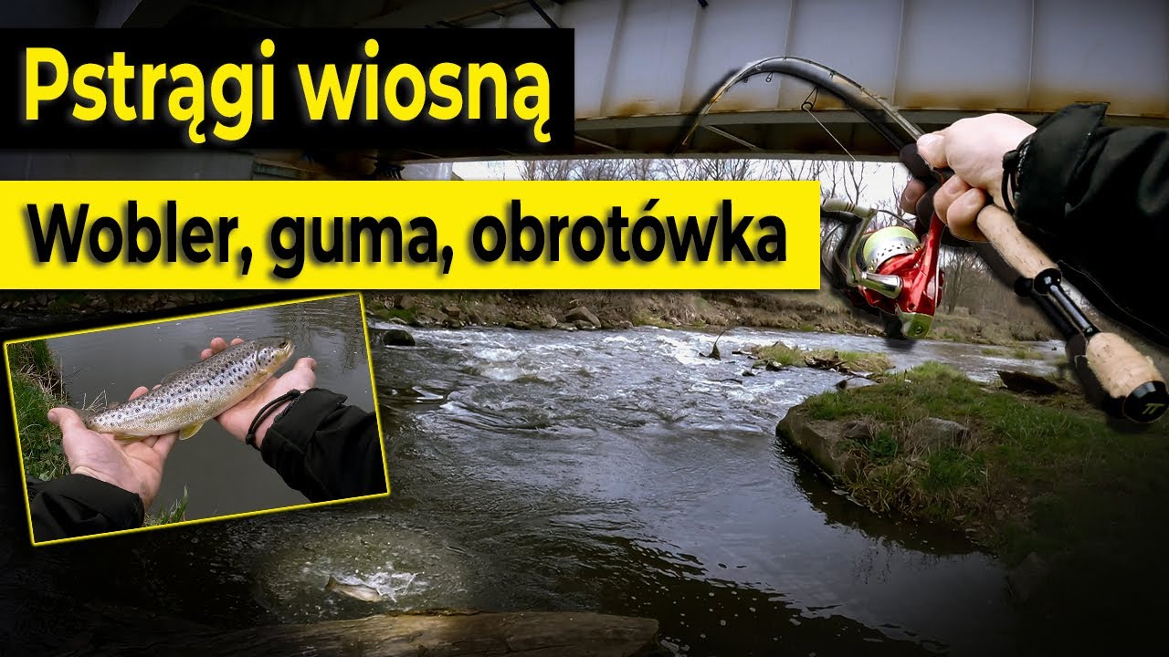 Pstrągi wiosną - jak skutecznie łowić je w małej rzece