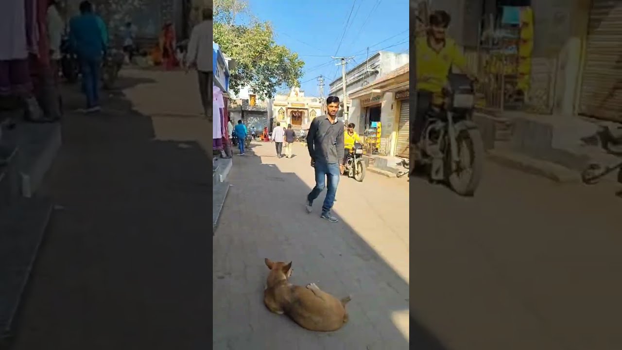 दोस्तों हम आज  जा रहे हैं मेले में 💃