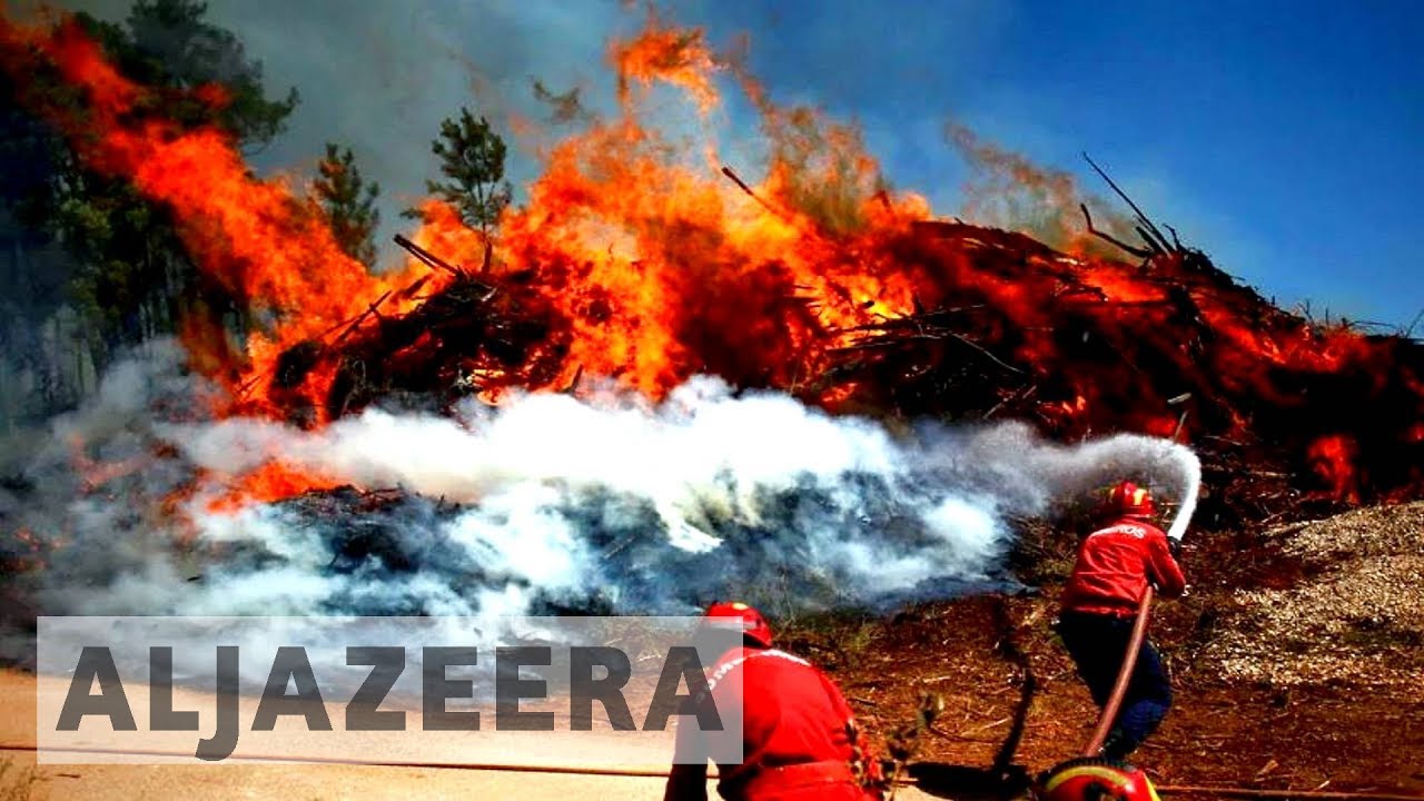 Portugal areas scorched by forest fires 'look like warzone'
