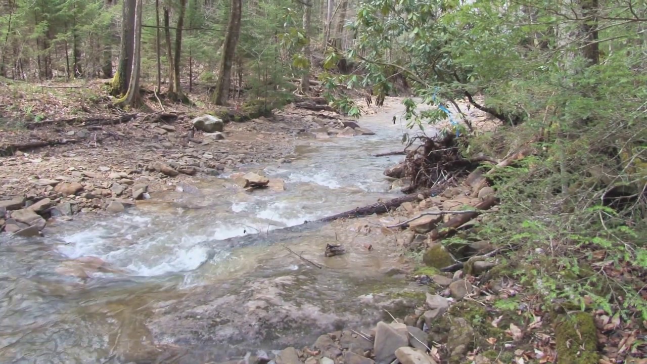 Environment Matters - Improving Trout Habitat