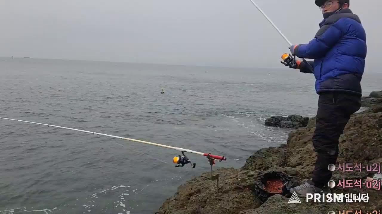 오데가TV 라이브  남해 향촌 카고낚시