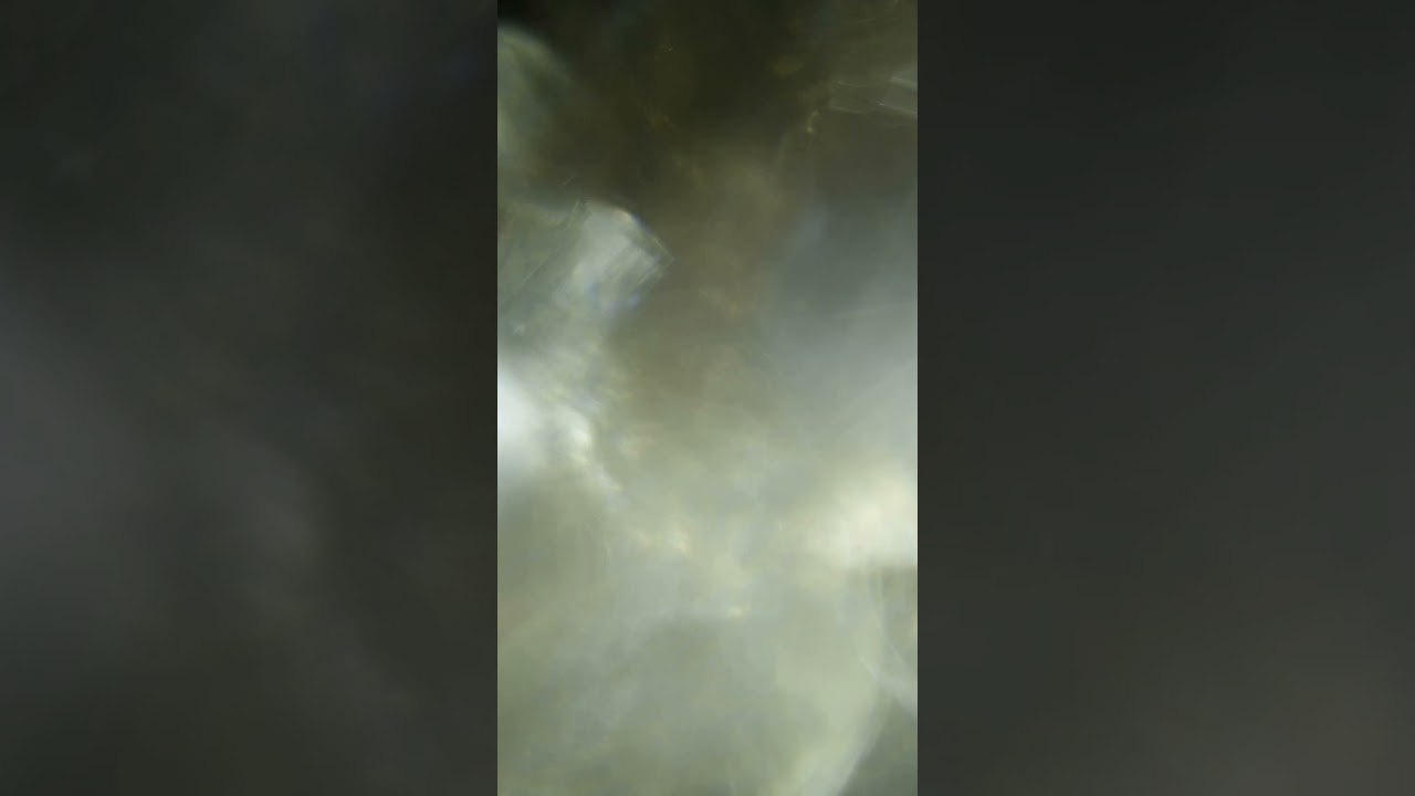 Light Leak Transition Overlay 4k | Copyright Free #lightleaks #overlay #free #vfx #overlay #download