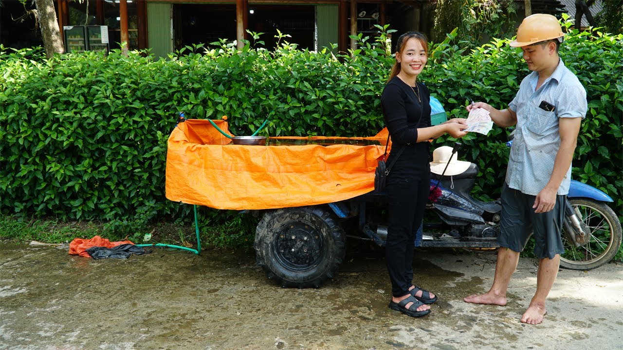 Harvesting Lots Of Big Fish, Use 3-Wheeled Vehicle Transport Many Big Fish Goes To Market Sell