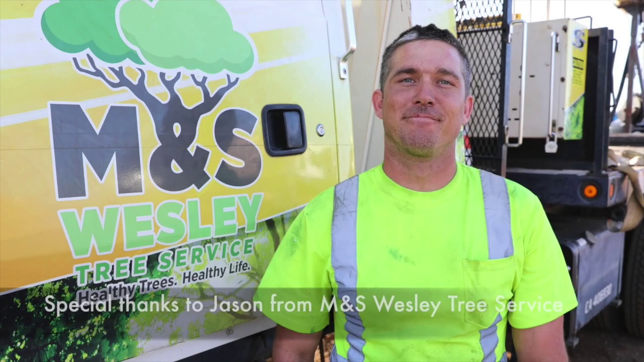 REAL Arborist Explains BEST Tree Trucks | What They Really NEED | Tree Service Trucks 001