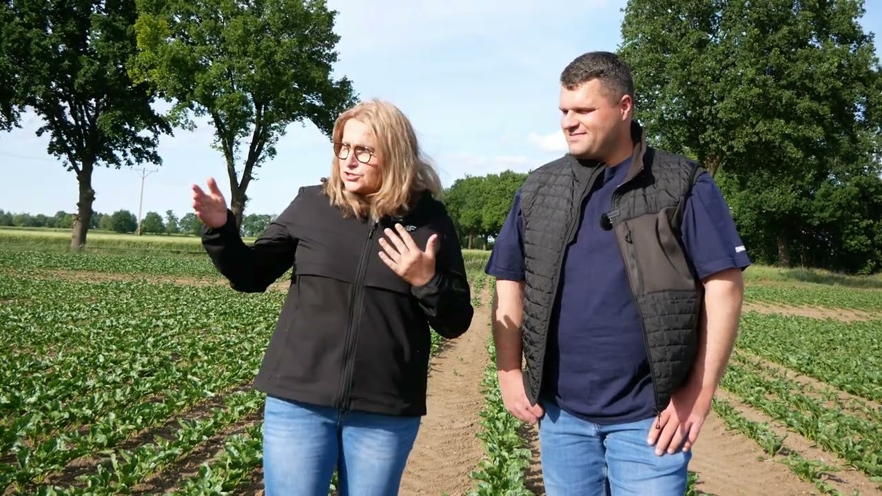 Nawożenie dolistne buraka cukrowego i mieszalność ŚOR - aplikacja Tankmix