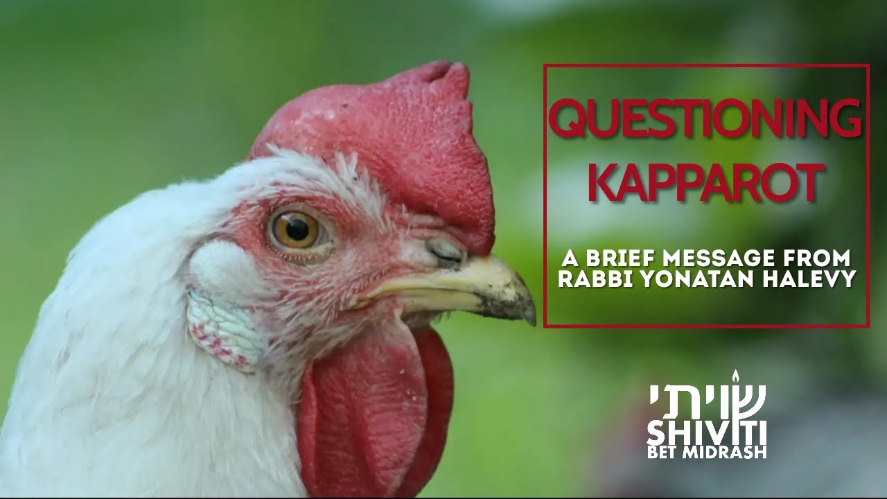 Questioning Kapparot: A Brief Message From Rabbi Yonatan Halevy [11 minutes]