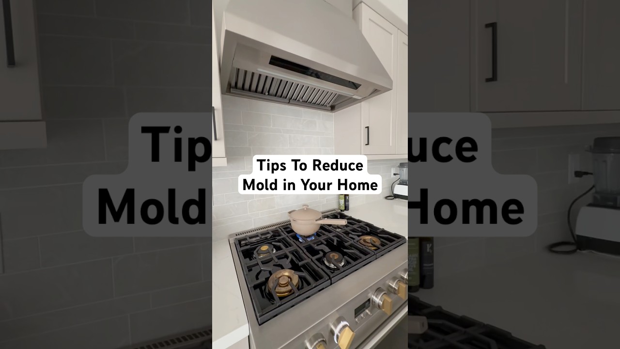 Tips To Reduce Mold and Toxic Air in Your Home