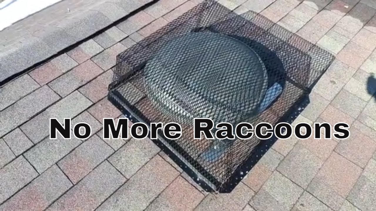 Защита чердачного вентилятора от енотов | Как это сделать | Предотвращение проникновения вредителей