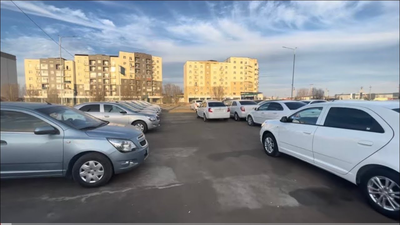 19 FEVRAL 2 FILYAL COBALT NARXLAR TEL 88 605 2233