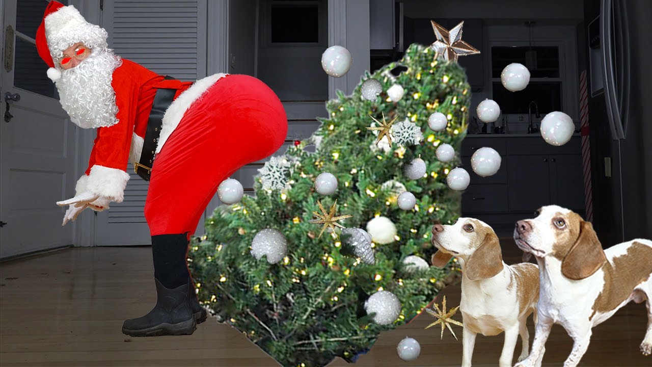 Can These Dogs Defeat Evil Twerking Santa?