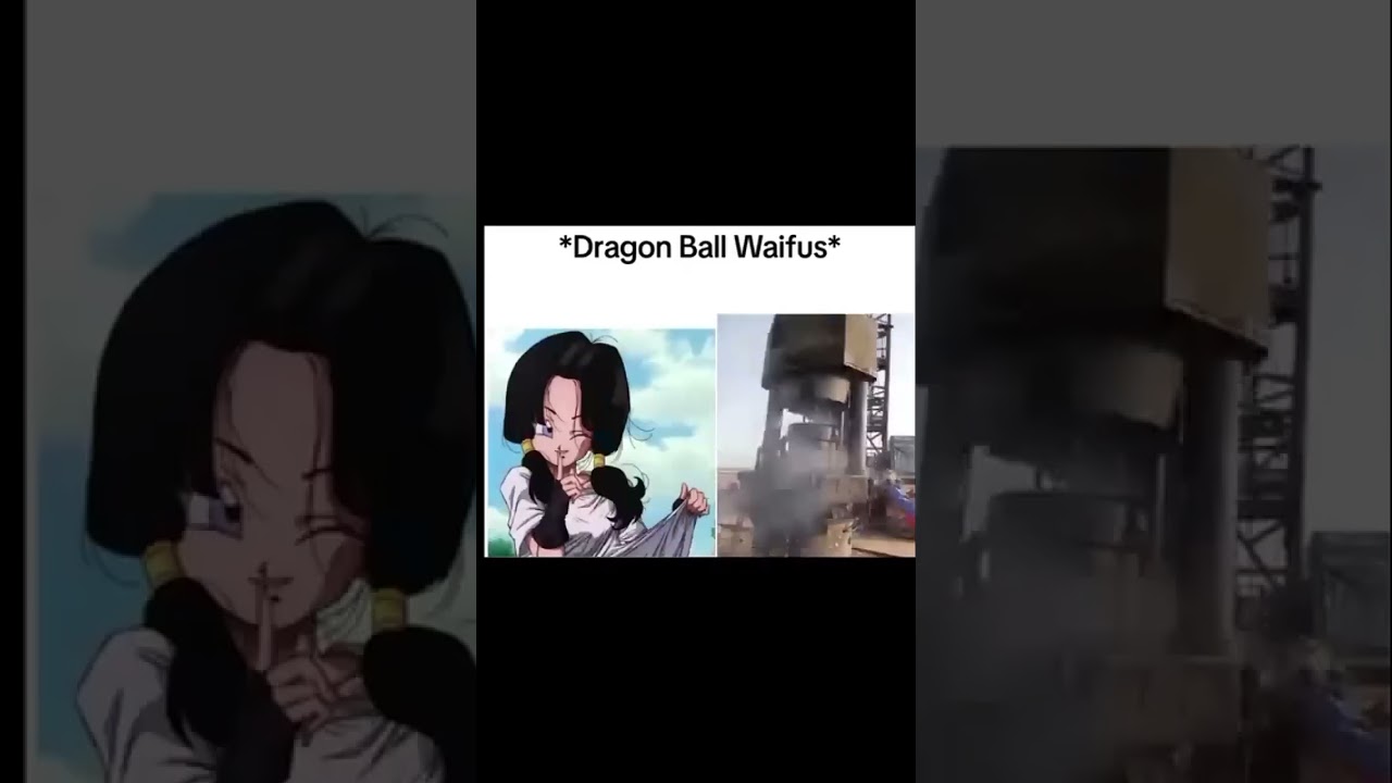 Ranking All Dragon Ball Waifus