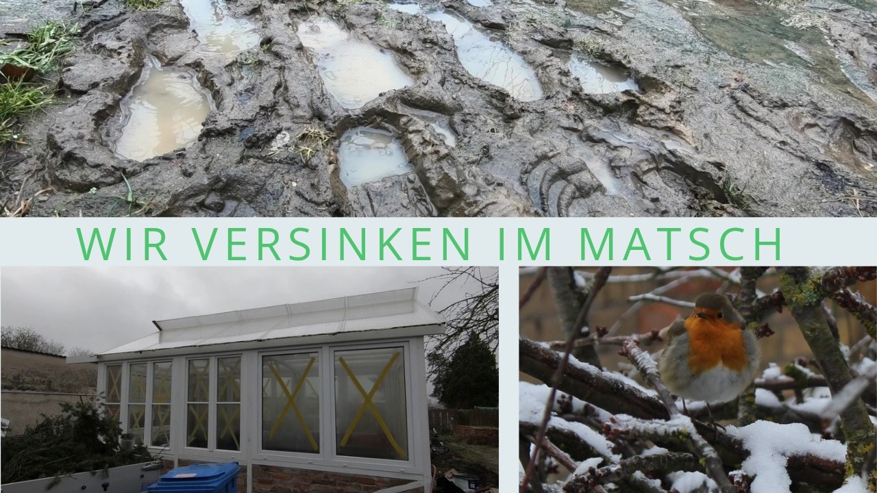 Winter hält uns im Garten noch immer auf