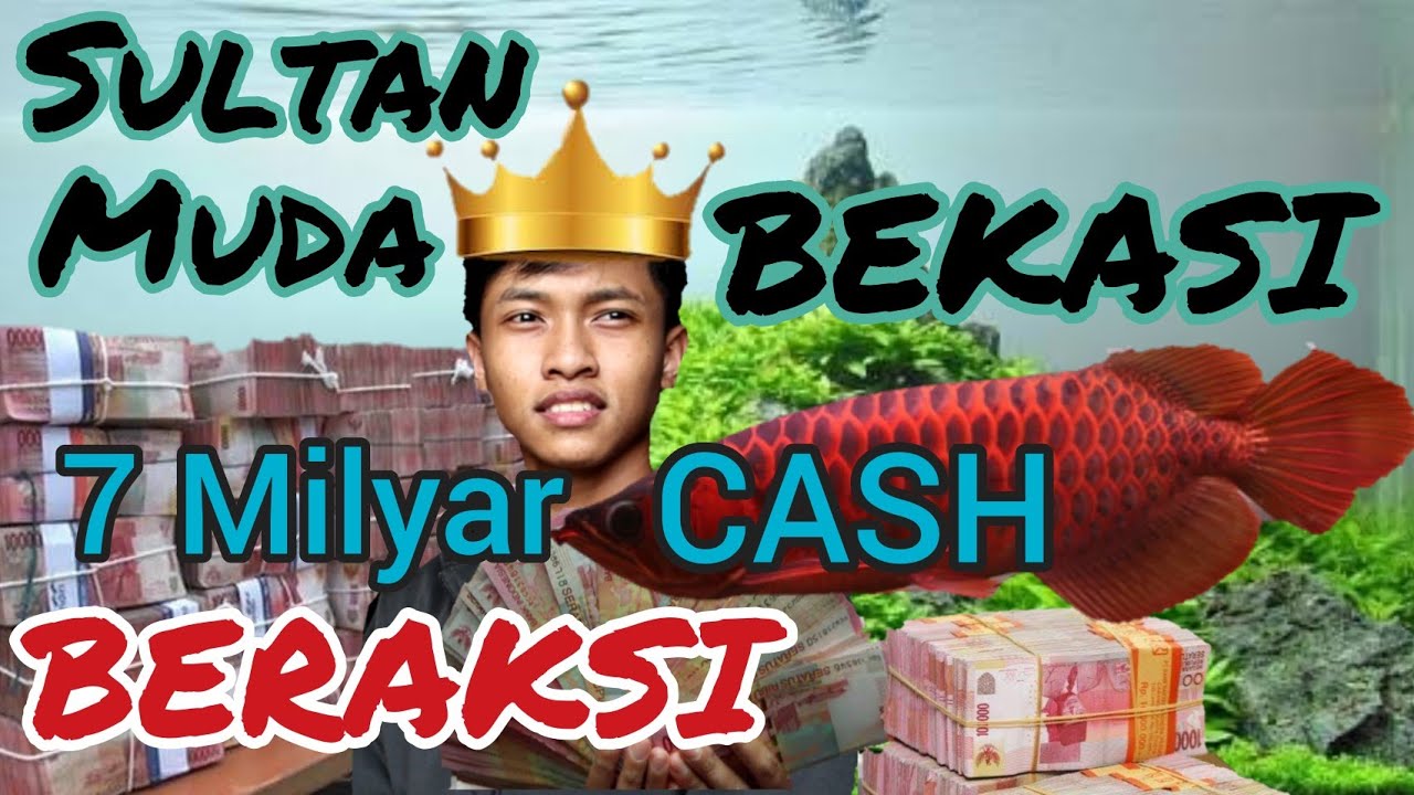 Arwana SR dibayar Cash 7 Milyar - Sultan Muda Bekasi Beraksi - The Most Beautiful Fish In The World