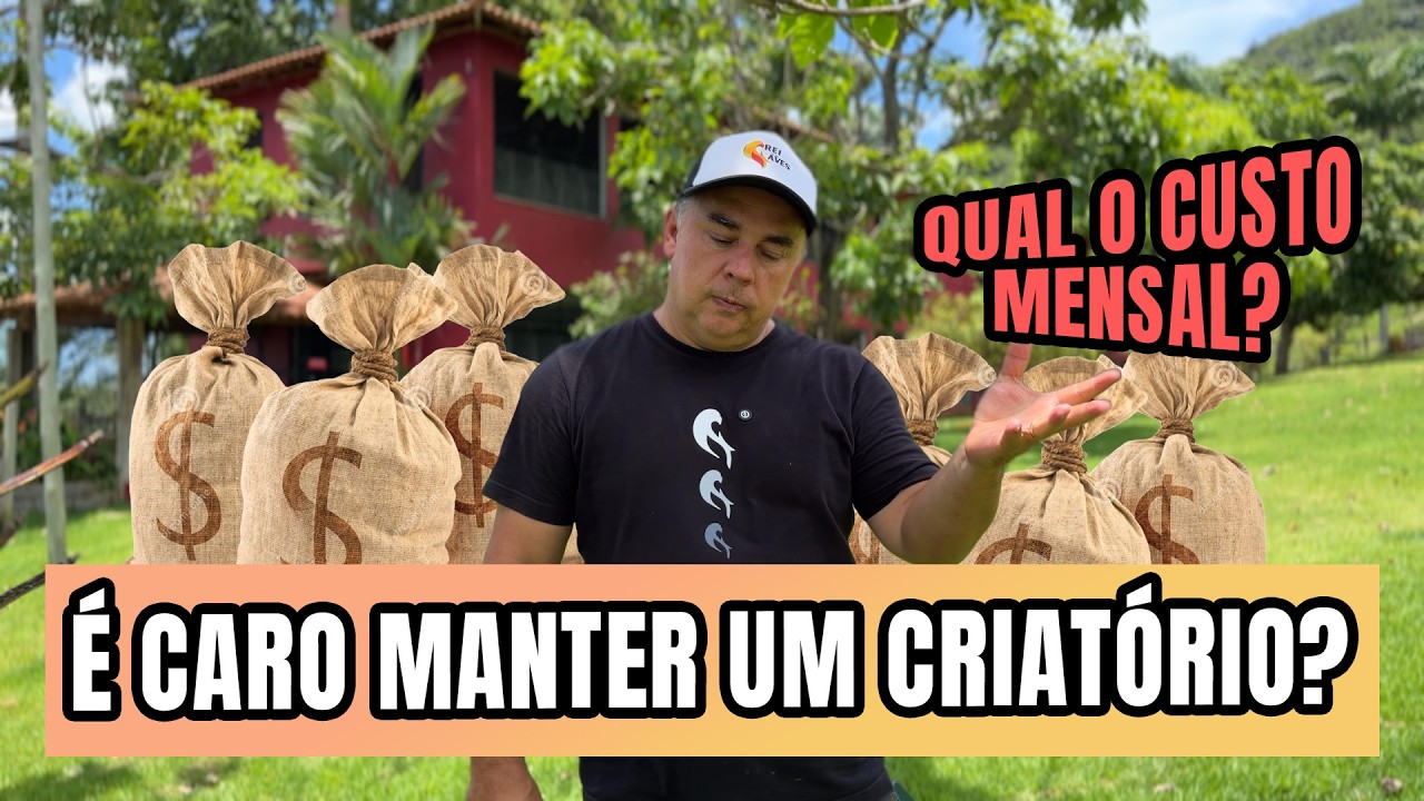 QUANTO CUSTA MANTER UM CRIATÓRIO POR MÊS?