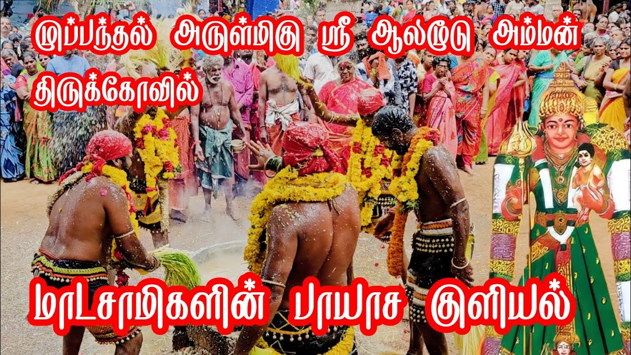 Muppandal Alamoodu Amman Kovil Aadi kodai Vizha 2023 | Muppandal Alamoodu Amman Payasa Kuzhiyal 2023