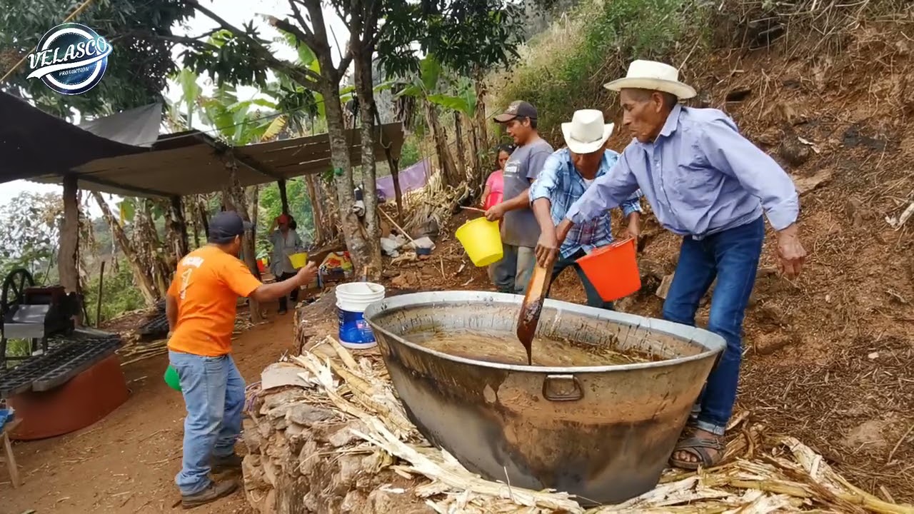 ASÍ SE HACE LA PANELA EN LA SIERRA JUAREZ OAXACA