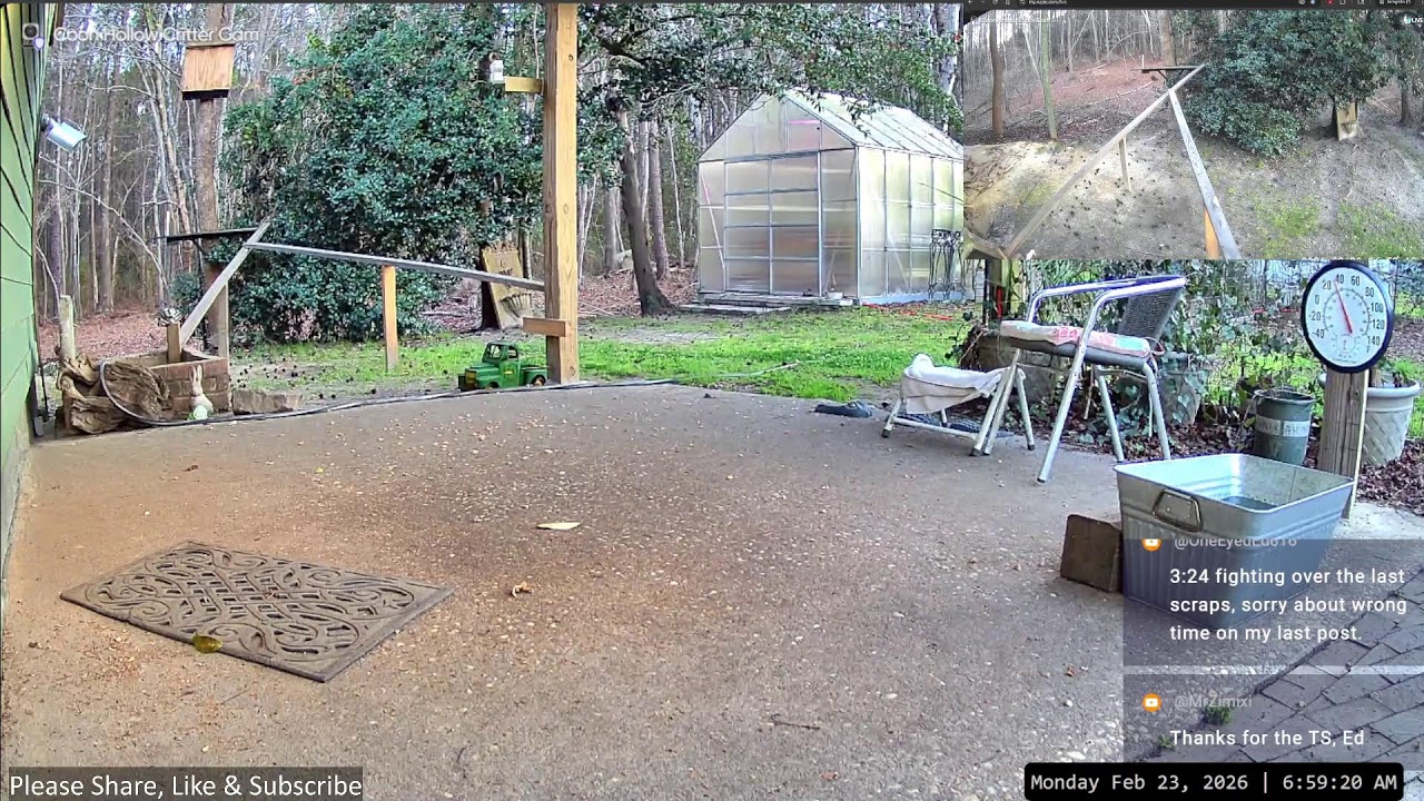 LIVE Nighttime with Raccoons, Foxes, Opossums in South Carolina Feb 22-23, 2026