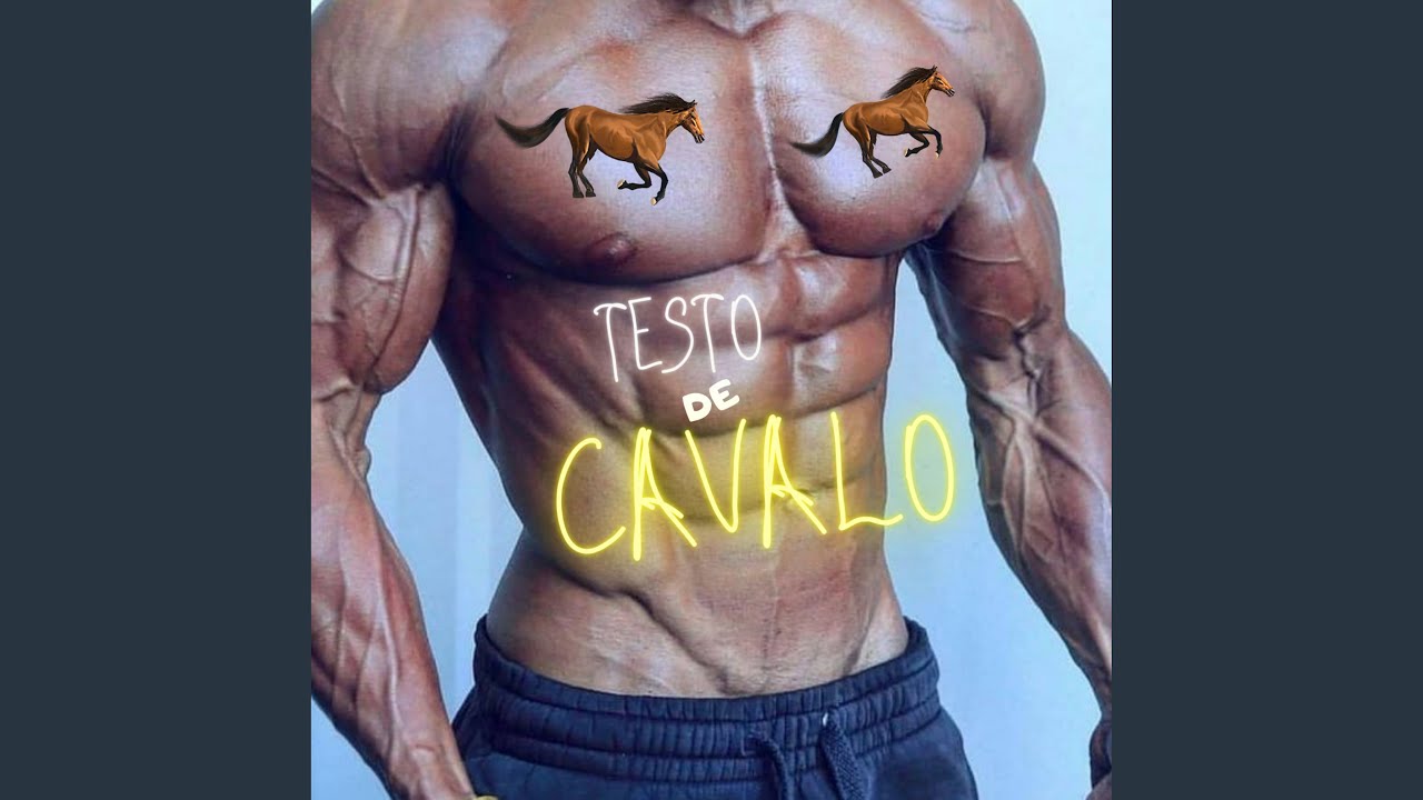 Testo de Cavalo