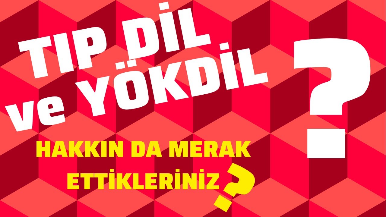 (TUSDATA) TIP DİL ve YÖK DİL Hakkında Merak Ettiğiniz Her Şey
