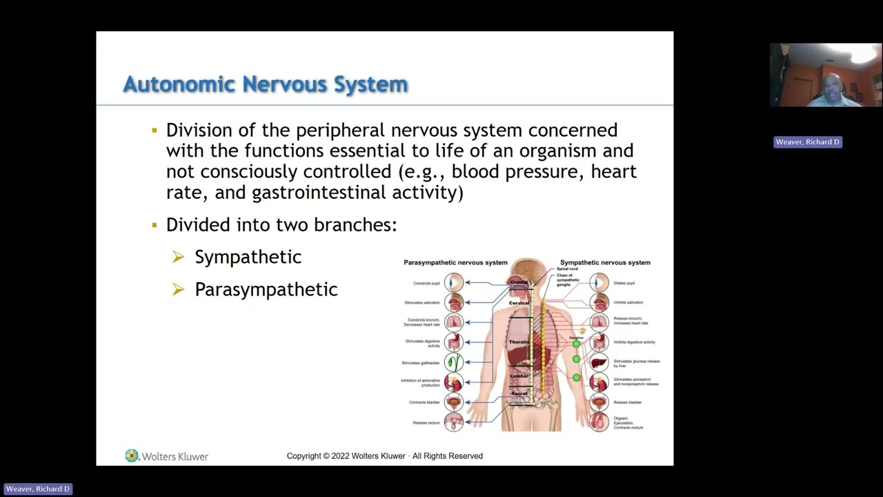 Cholinergic blocking drugs Recording