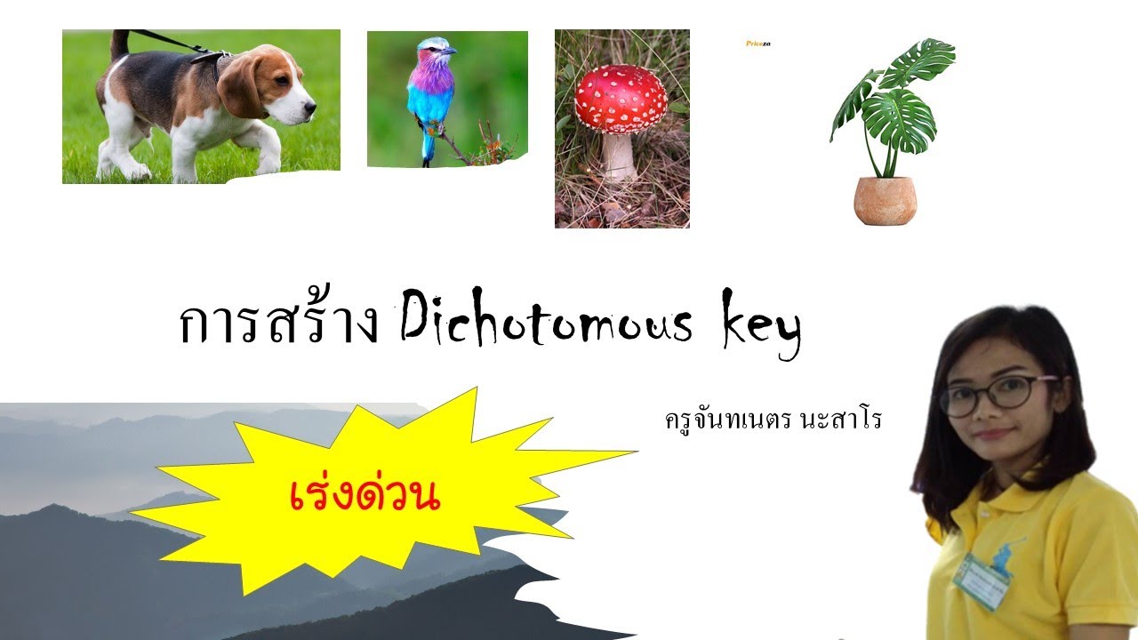 การสร้าง dichotomous key
