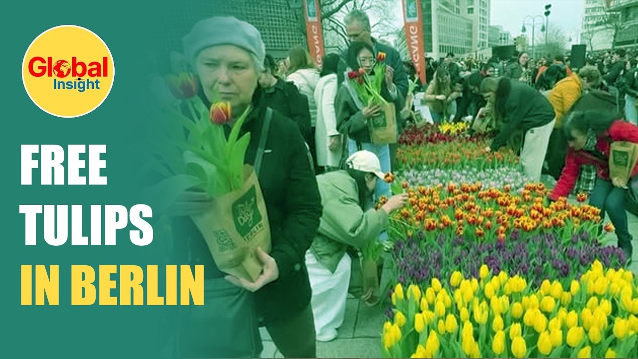 Berlin Crowds Rush for Free Tulips Gifted by Dutch to Celebrate Spring | Global Insights