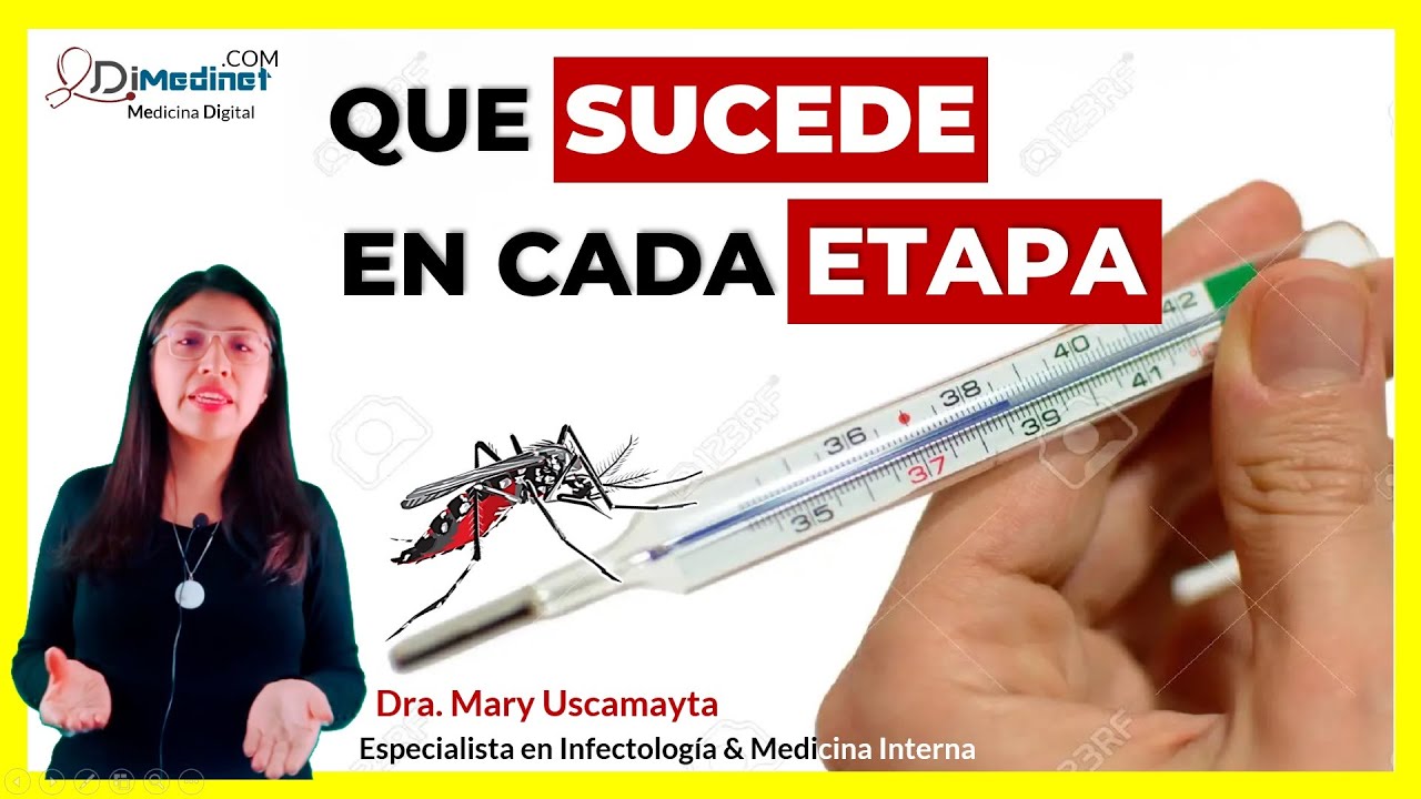🟢 DESGLOSANDO las FASES del DENGUE: ¿CÓMO IDENTIFICAR CADA ETAPA? ▶ Dra. Mary Uscamayta 👩‍⚕️